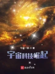 《宇宙科技崛起》小说封面