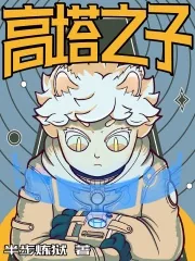 《高塔之子》小说封面