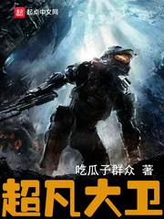 《超凡大卫》小说封面