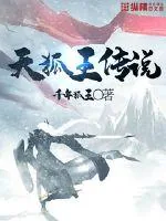 《天狐王传说》小说封面