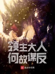 《领主大人何故谋反》小说封面