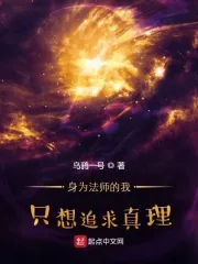 《身为法师的我只想追求真理》小说封面