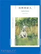 《沉默的证人》小说封面