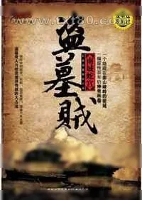 《盗墓贼:南域蛇宫》小说封面