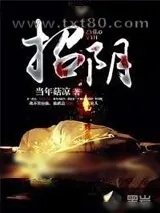《招阴》小说封面