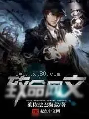 《致命网文》小说封面