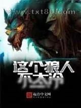 《这个狼人不太冷》小说封面