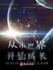 《从小世界开始成长》小说封面