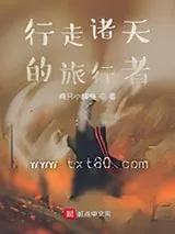 《行走诸天的旅行者》小说封面