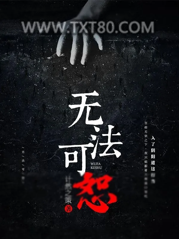 《无法可恕》小说封面