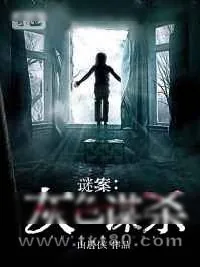 《谜案:灰色谋杀》小说封面