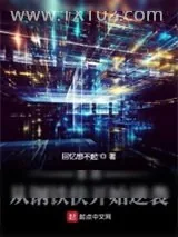 《系统：从钢铁侠开始逆袭》小说封面