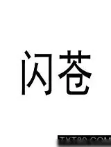 《闪苍》小说封面