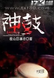 《神鼓》小说封面