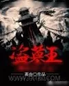 《盗墓王之妖塔寻龙》小说封面