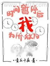 《时间暂停以后我为所欲为(无限)》小说封面