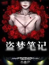《盗梦笔记》小说封面