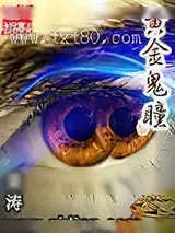 《黄金鬼瞳》小说封面