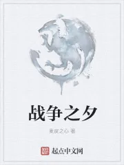 《战争之夕》小说封面