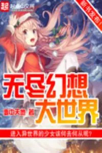 《无尽幻想大世界》小说封面