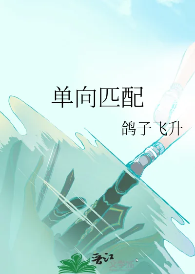 《单向匹配》小说封面