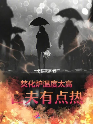 《焚化炉温度太高,前夫有点热》小说封面