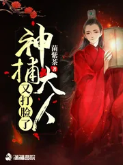 《神捕大人又打脸了》小说封面