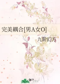 《完美耦合[男A女O]》小说封面