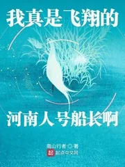 《我真是飞翔的河南人号船长啊》小说封面
