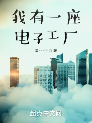 《我有一座电子工厂》小说封面