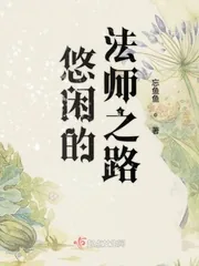 《悠闲的法师之路》小说封面