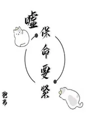 《嘘!保命要紧》小说封面