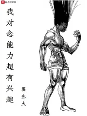 《我对念能力超有兴趣》小说封面
